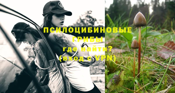 эйфоретик Навашино