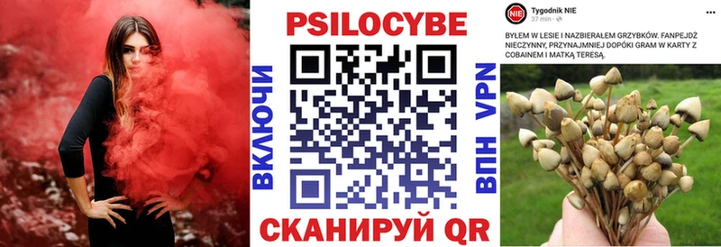 Галлюциногенные грибы Psilocybine cubensis  kraken как зайти  Николаевск  продажа наркотиков 
